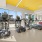 Cardio Area with Pool View