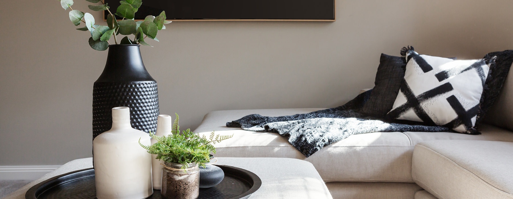 Couch and coffee table