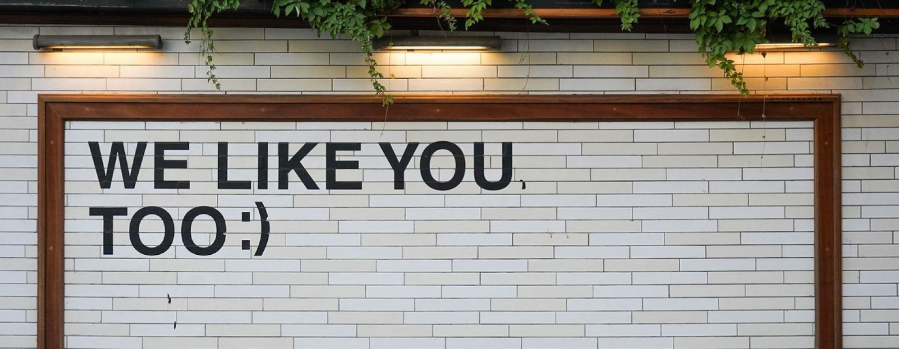 we like you too, wall sign